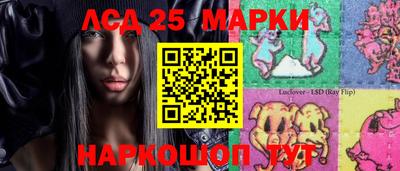гидропоника Можайск