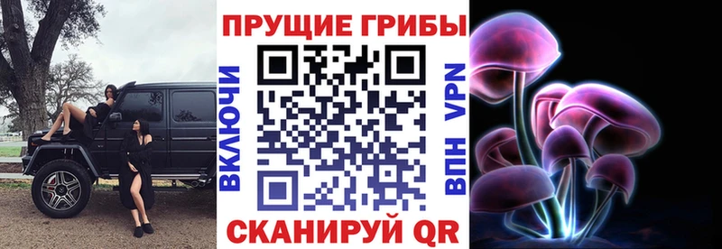 Галлюциногенные грибы Psilocybe  как найти   Бугульма 