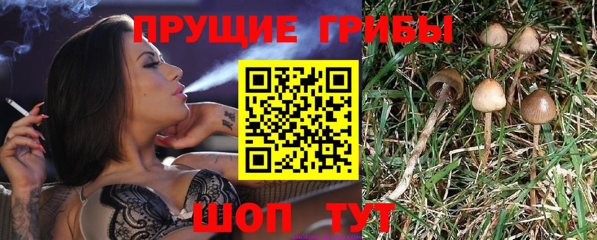 Псилоцибиновые грибы Psilocybine cubensis  Галлюциногенные грибы прущие грибы  Вход с VPN  Бугульма 