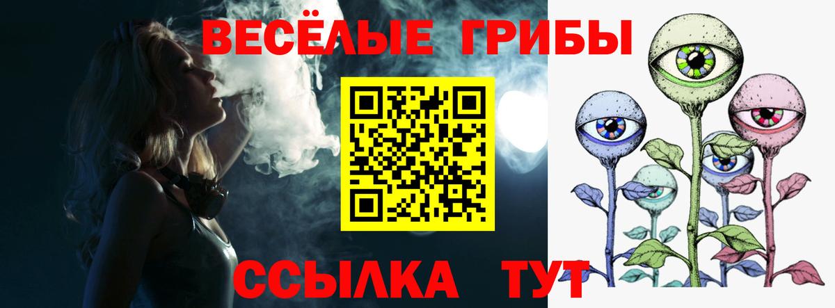 Галлюциногенные грибы GOLDEN TEACHER Бугульма